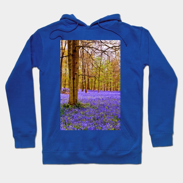 Bluebell Woods Greys Court England UK Hoodie by AndyEvansPhotos